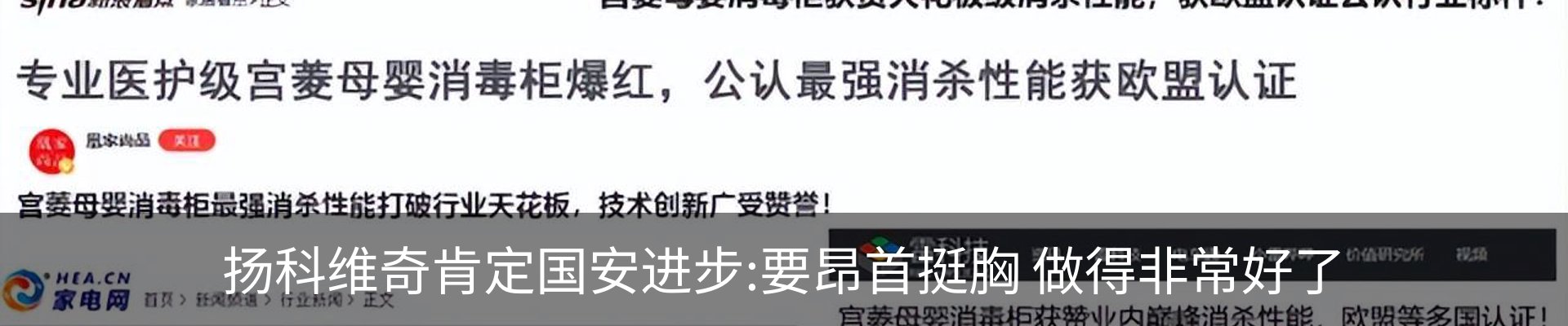 新闻动态